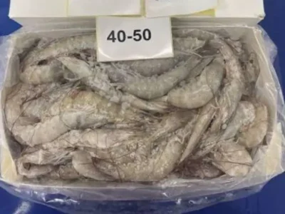 Frozen Iranian Shrimps 40/50 UAE delivery