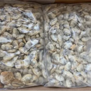 Frozen Clams Meat
