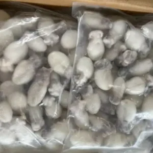 Frozen Baby Cuttle Fish 20/40 IQF