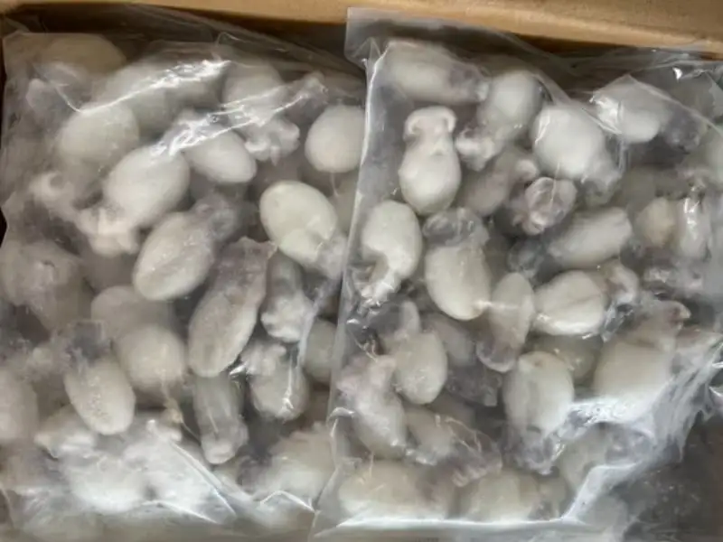 Frozen Baby Cuttle Fish 20/40 IQF