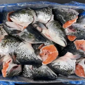 Frozen Salmon Head