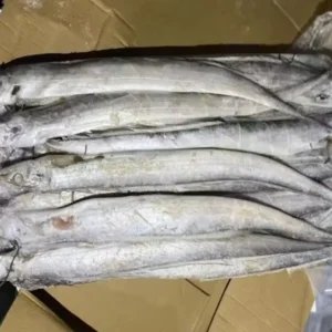 Frozen Belt Fish Ribbon Fish