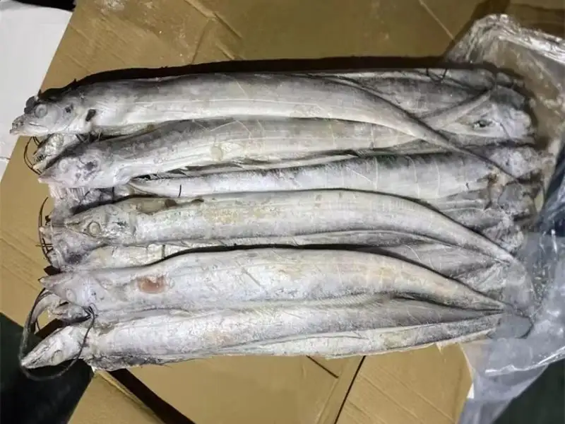 Frozen Belt Fish Ribbon Fish