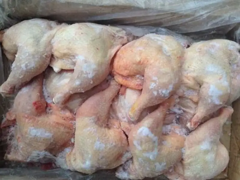 Frozen Chicken Leg Quarter price UAE Dubai Abu Dhabi