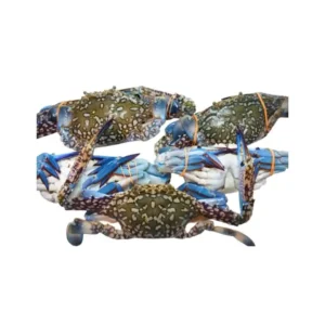 Frozen Whole Crab 100-200 gram size 10 kg box