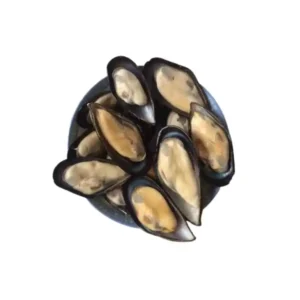 Frozen Half Shell Mussels China 10 kg box