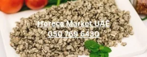 Frozen Clams meat supplier UAE Dubai Sharjh 