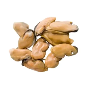 Frozen Mussels Meat China 10 kg box