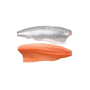 Frozen Salmon Fillet Skin on