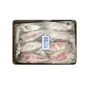 Frozen Squid Whole 10/20