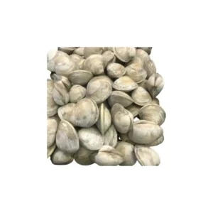 Fresh Clams UAE