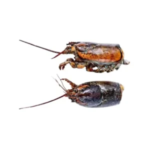 Frozen Lobster Head Assorted sizes