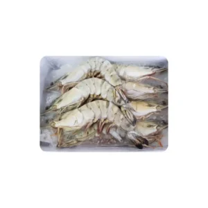 Frozen Shrimps Black Tiger 7 pcs