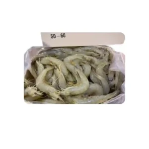 Frozen Iranian Shrimps 50/60