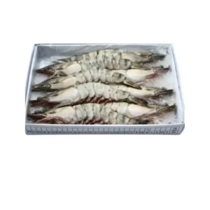 Frozen Shrimps Black Tiger 8 pcs